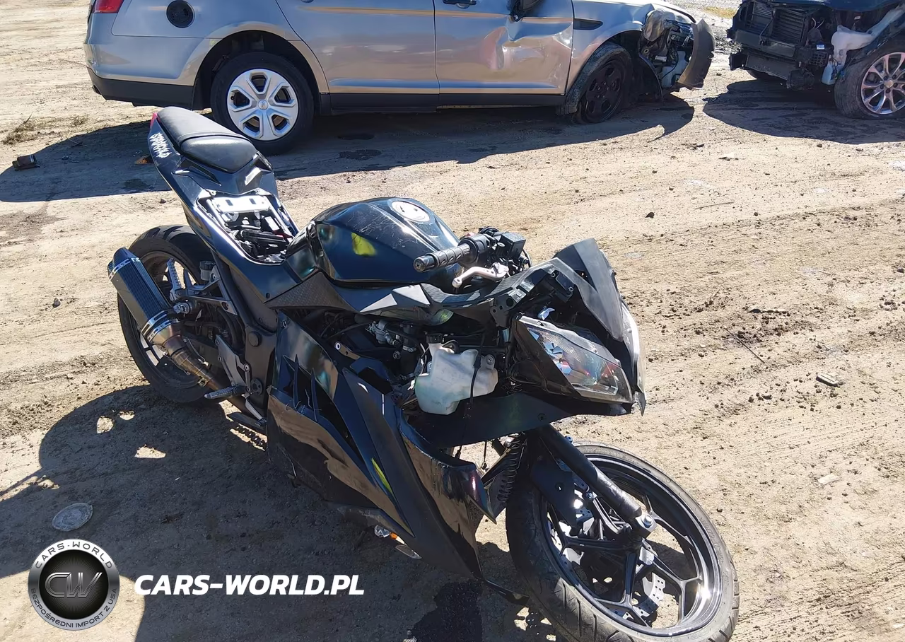 2015 Kawasaki Ex300 A VIN:JKAEX8A13FDA24783 - 1