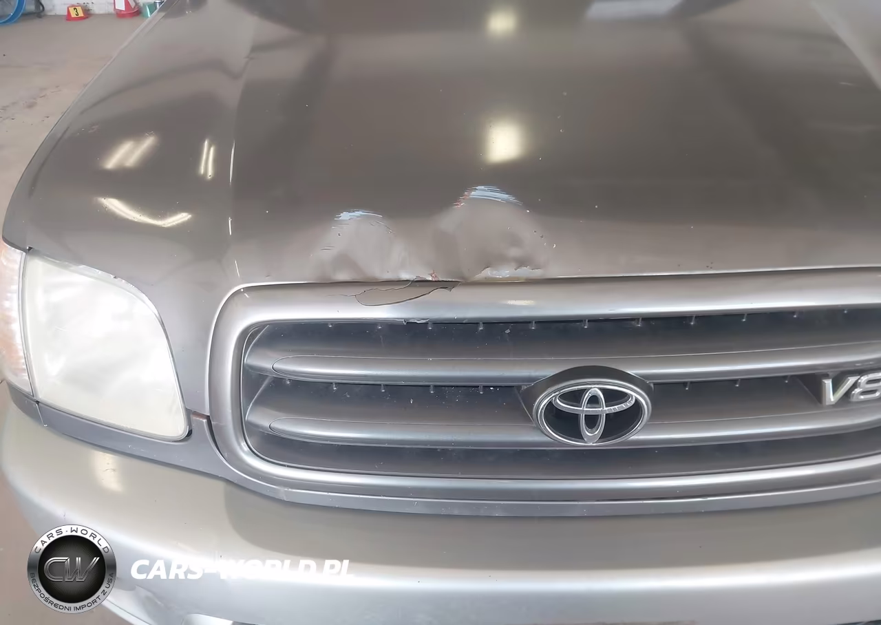 2004 Toyota Sequoia Sr5 VIN:5TDZT34A44S205861 - 12