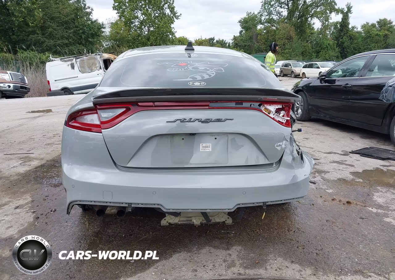 2018 Kia Stinger Gt2 VIN:KNAE55LCXJ6019922 - 17