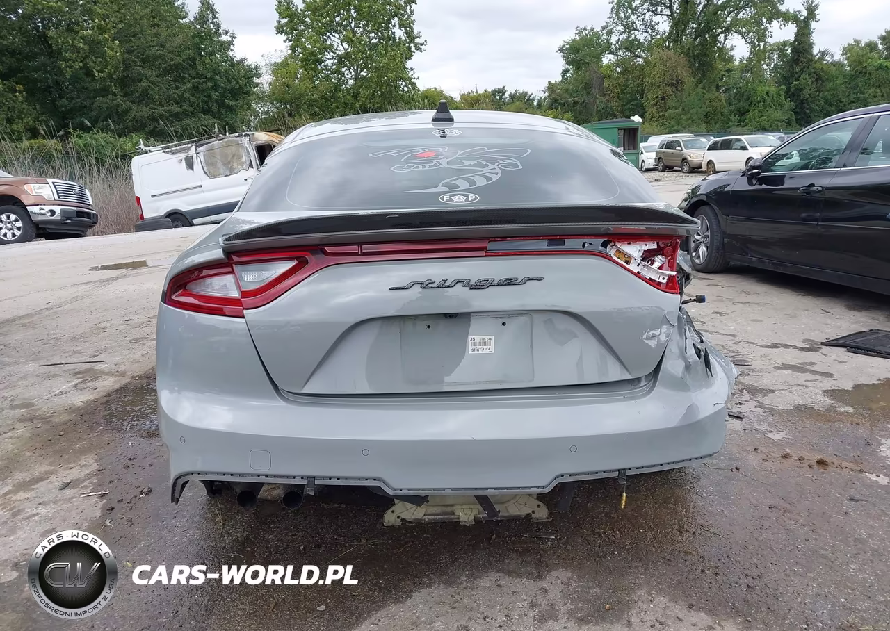 2018 Kia Stinger Gt2 VIN:KNAE55LCXJ6019922 - 20