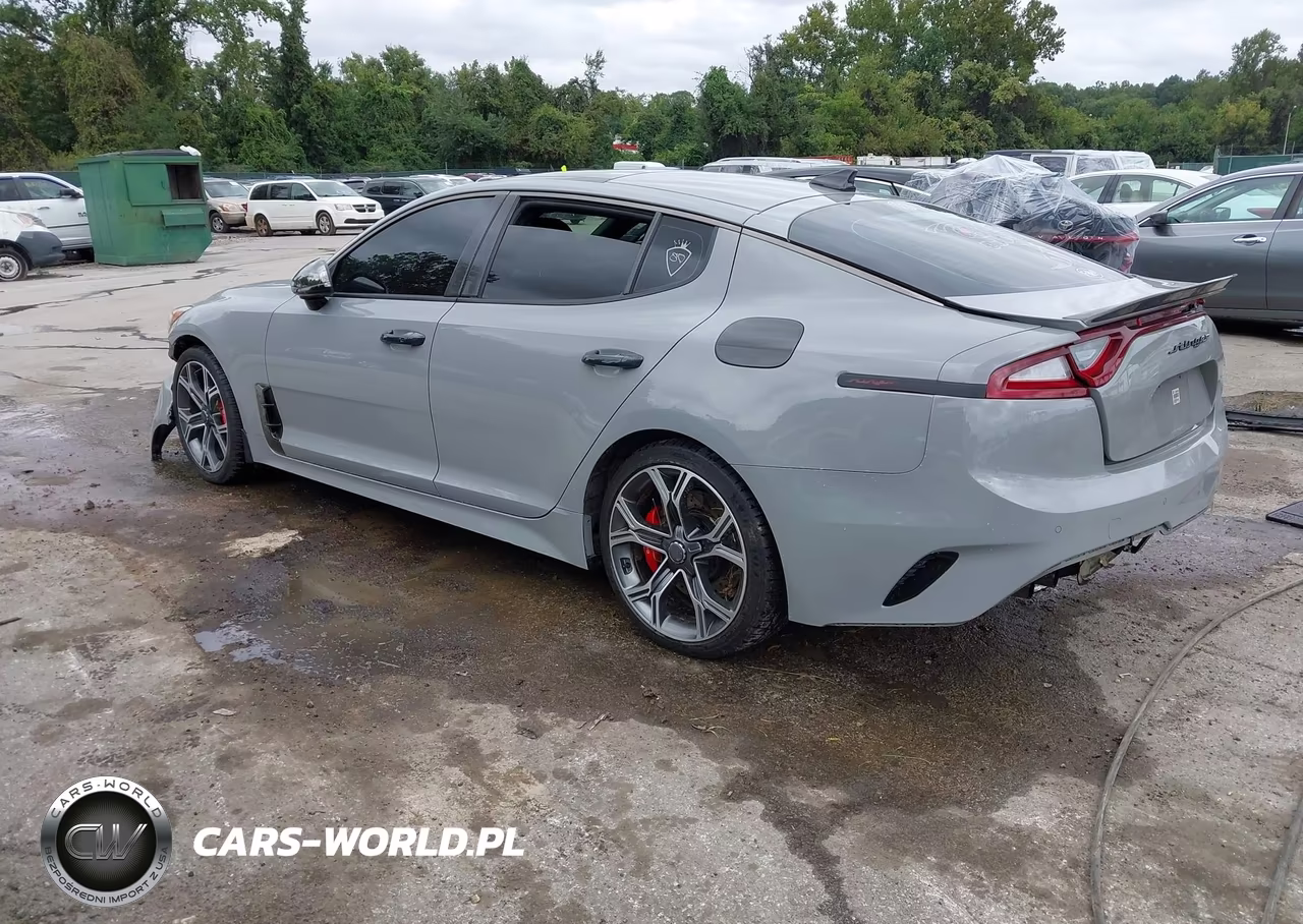2018 Kia Stinger Gt2 VIN:KNAE55LCXJ6019922 - 3