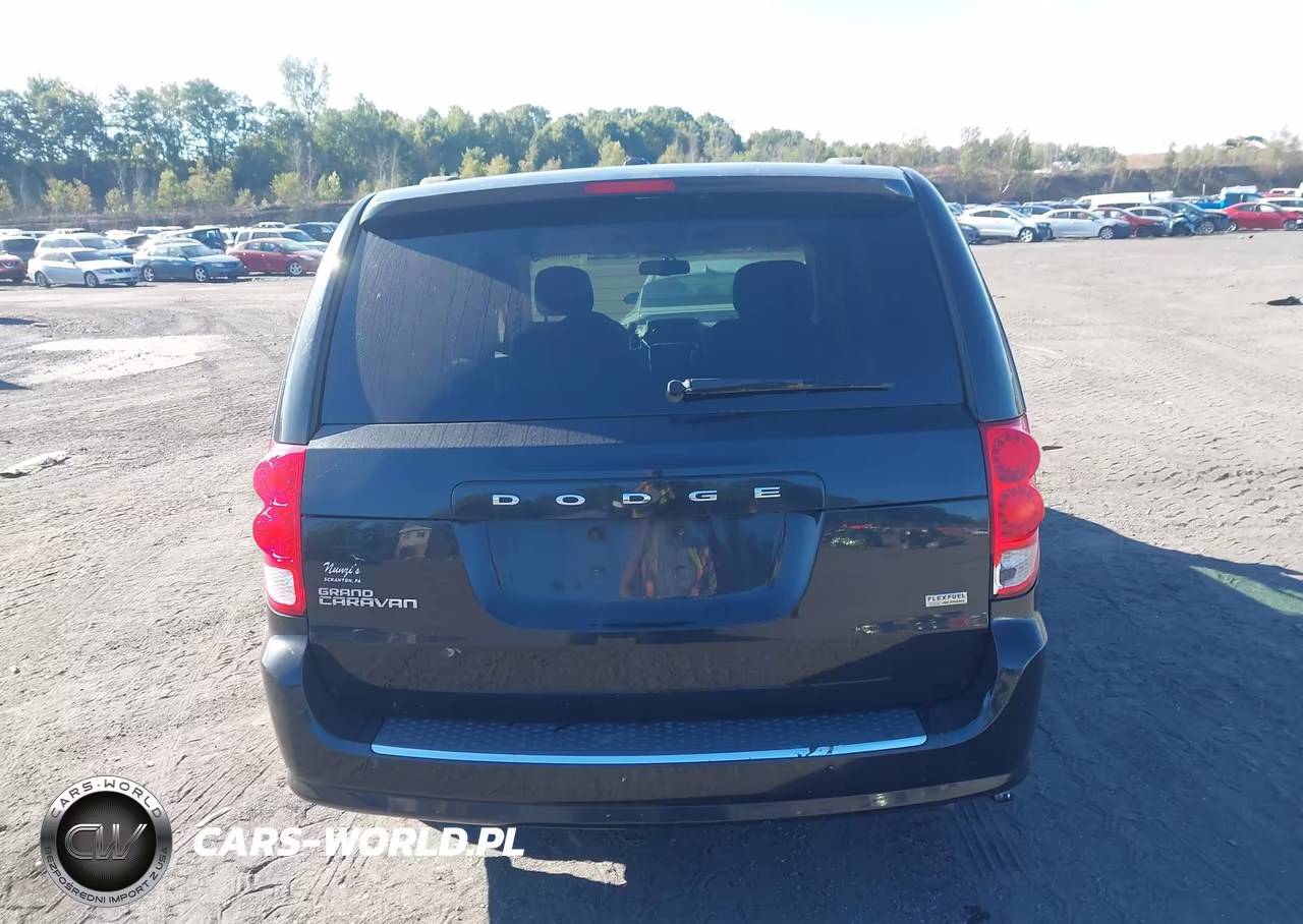 2013 Dodge Grand Caravan Sxt VIN:2C4RDGCG4DR698587 - 16