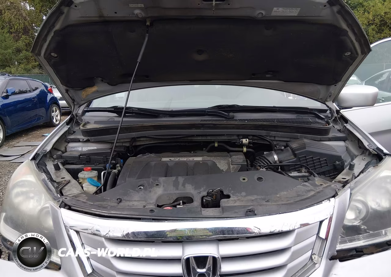 2010 Honda Odyssey Ex-L VIN:5FNRL3H71AB101486 - 10