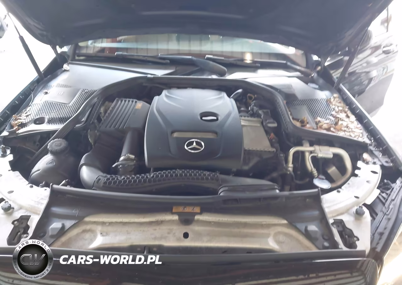 2018 Mercedes-Benz C 300 VIN:55SWF4JB9JU277666 - 10