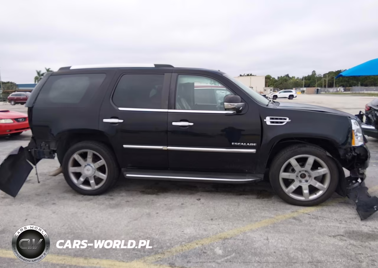 2011 Cadillac Escalade Luxury VIN:1GYS4BEFXBR165584 - 14