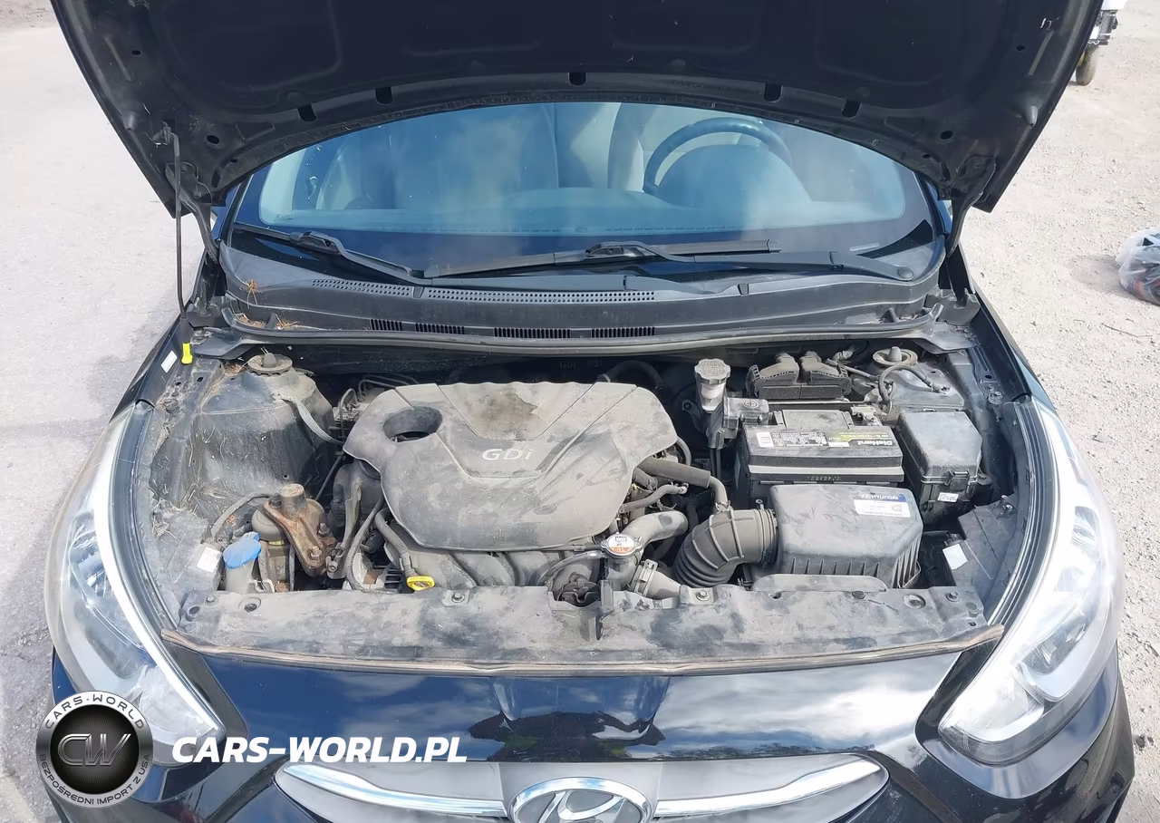 2016 Hyundai Accent Se VIN:KMHCT4AE8GU114378 - 10