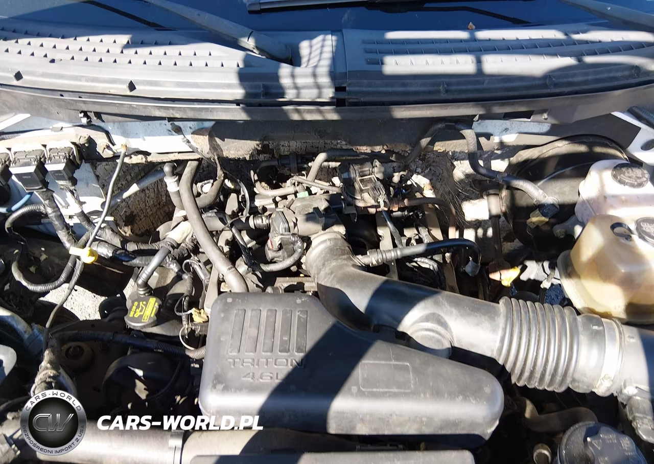 2010 Ford F-150 Stx-Xl VIN:1FTEX1CW8AFA58122 - 10