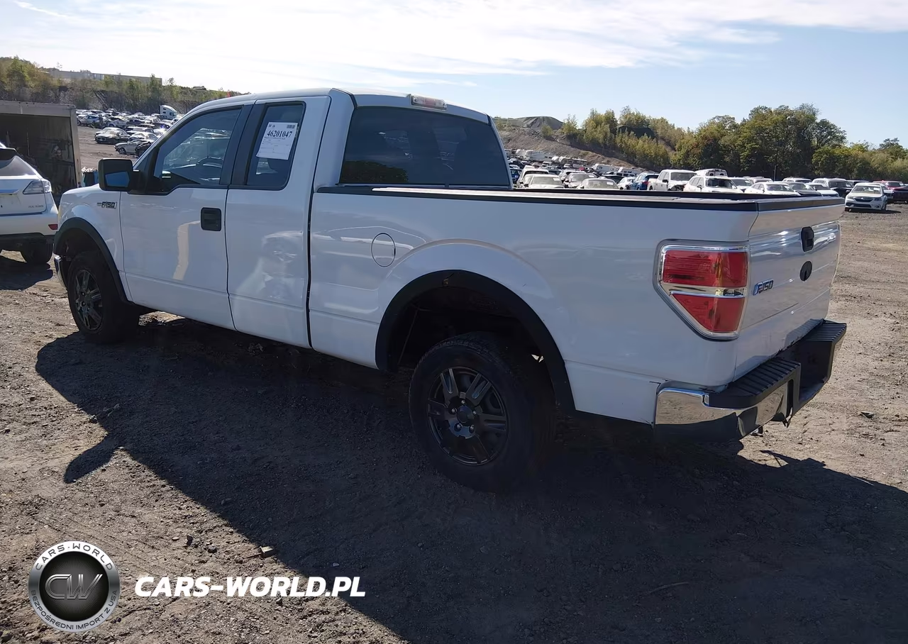 2010 Ford F-150 Stx-Xl VIN:1FTEX1CW8AFA58122 - 3
