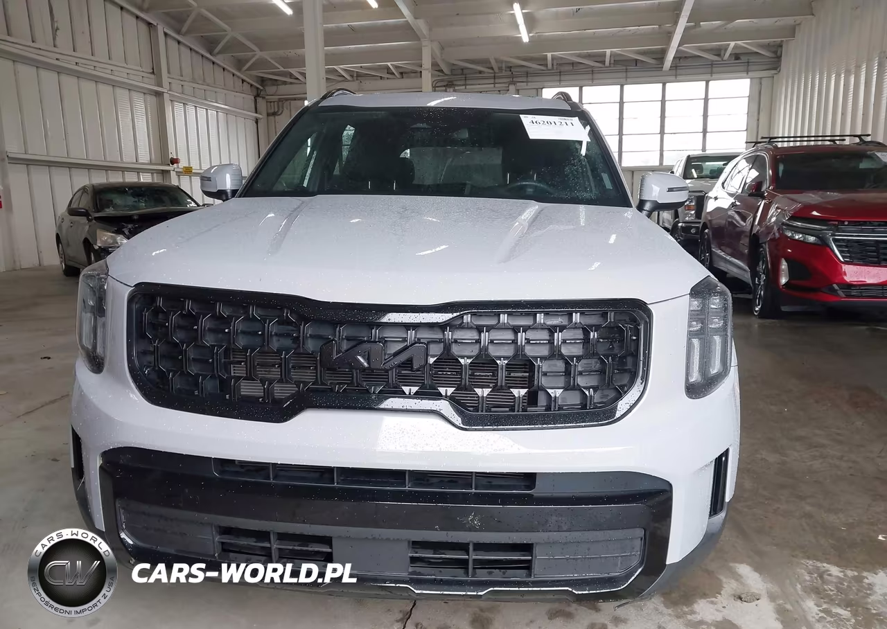 2025 Kia Telluride Ex X-Line VIN:5XYP3DGCXSG599290 - 12