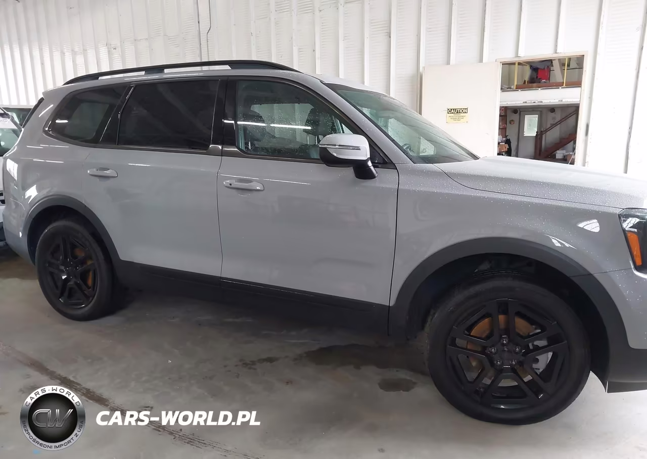 2025 Kia Telluride Ex X-Line VIN:5XYP3DGCXSG599290 - 13