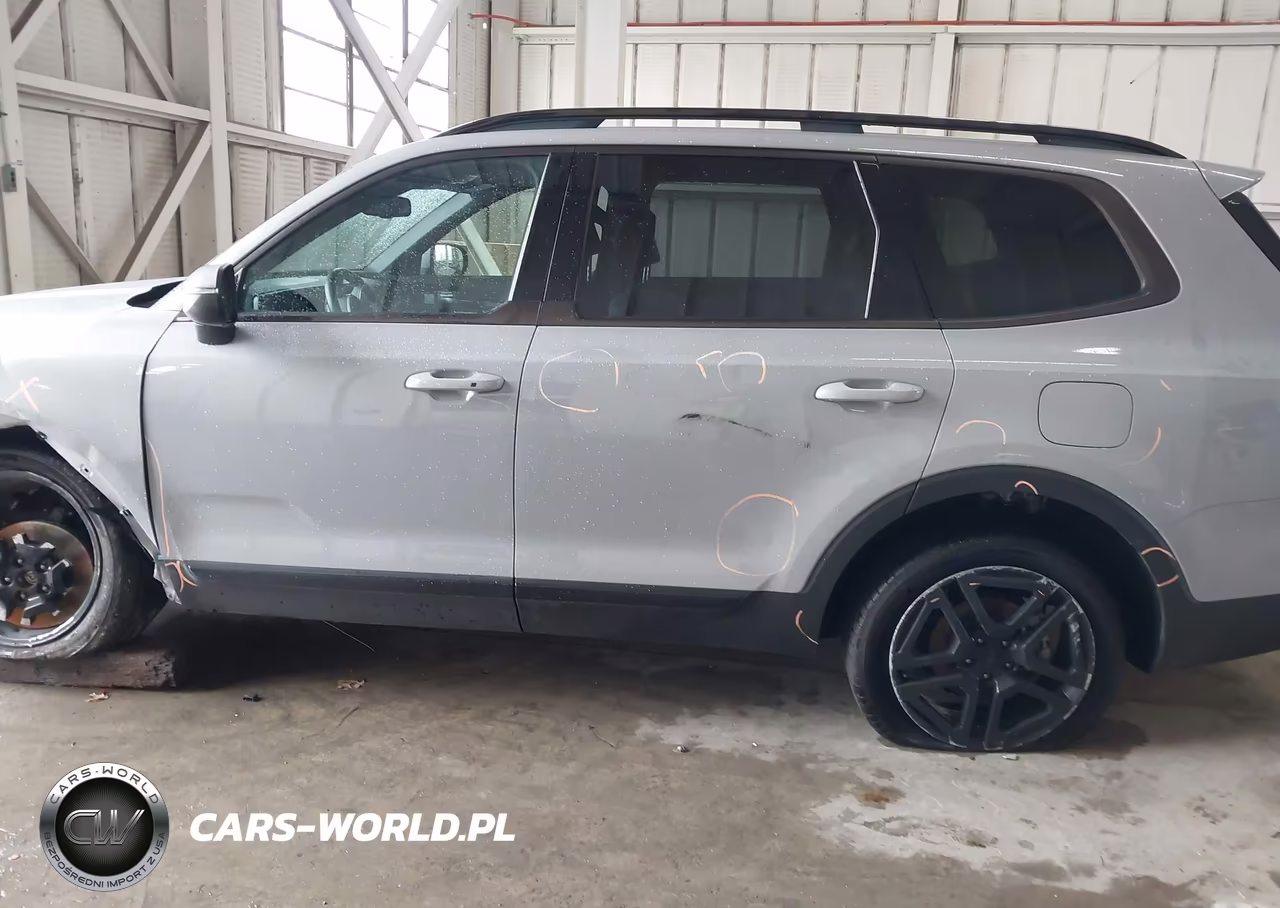 2025 Kia Telluride Ex X-Line VIN:5XYP3DGCXSG599290 - 14