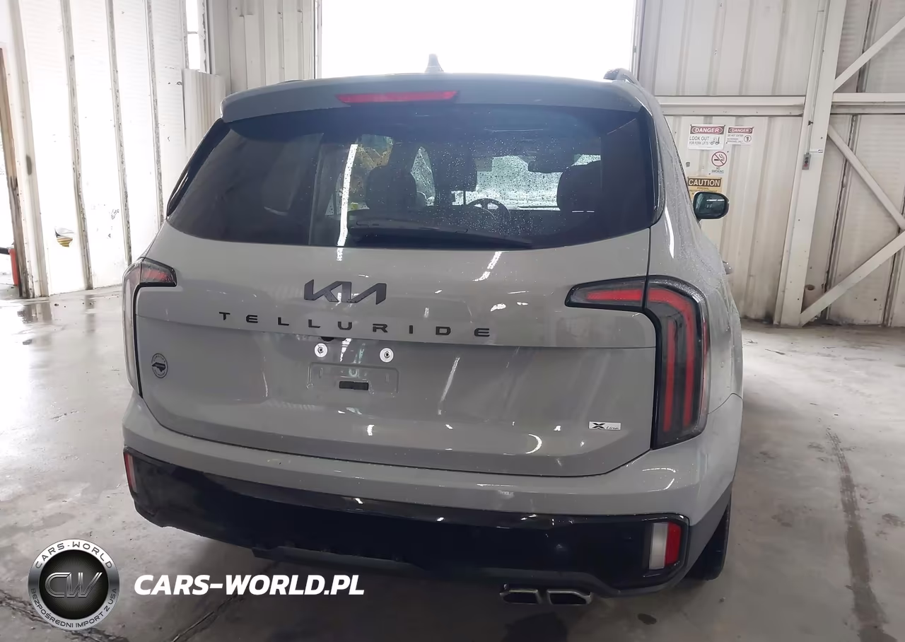 2025 Kia Telluride Ex X-Line VIN:5XYP3DGCXSG599290 - 16