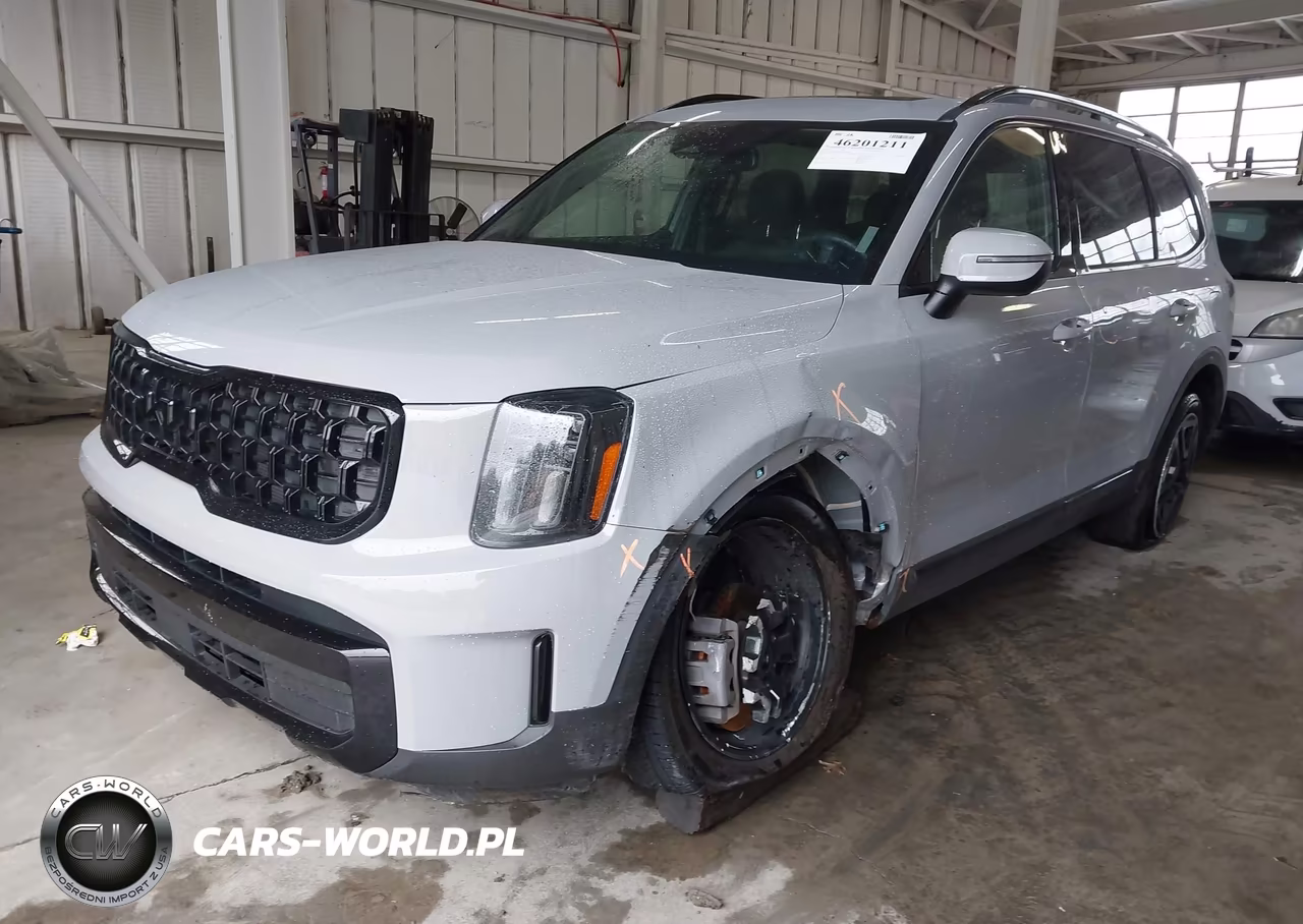 2025 Kia Telluride Ex X-Line VIN:5XYP3DGCXSG599290 - 2