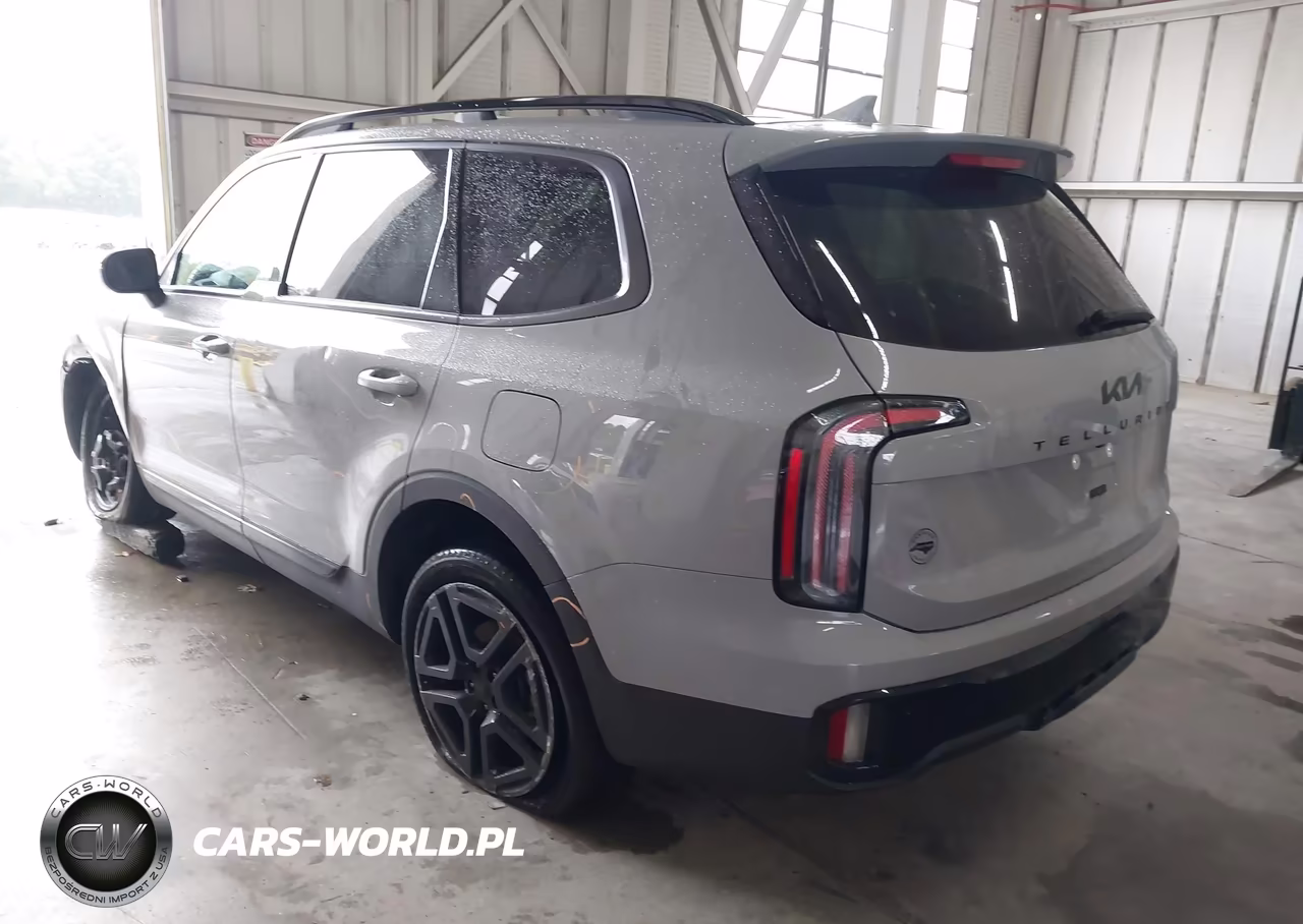 2025 Kia Telluride Ex X-Line VIN:5XYP3DGCXSG599290 - 3