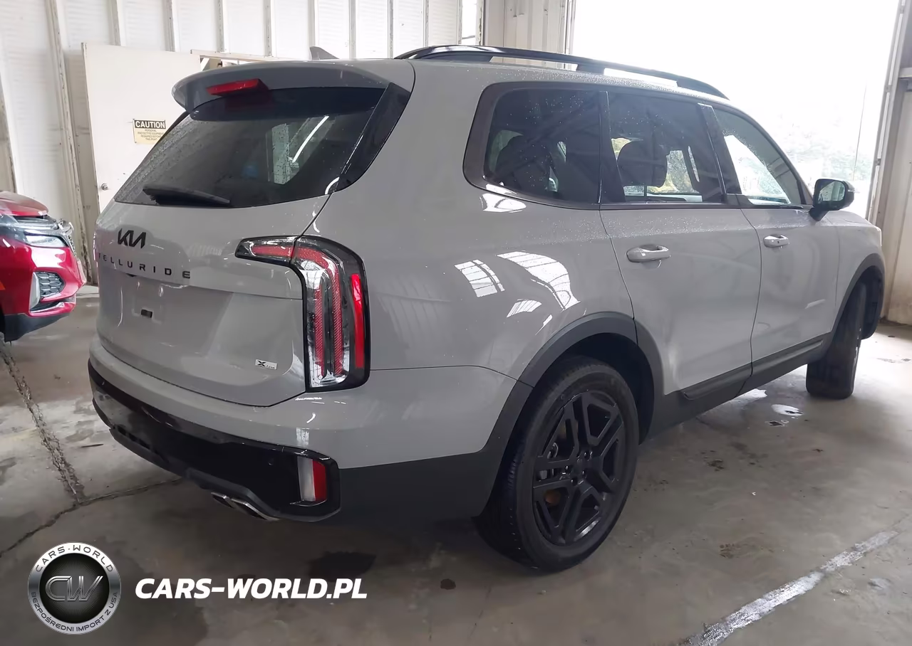2025 Kia Telluride Ex X-Line VIN:5XYP3DGCXSG599290 - 4