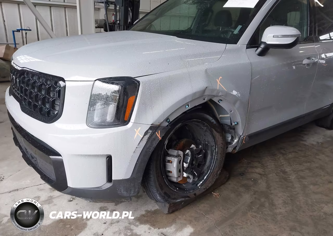 2025 Kia Telluride Ex X-Line VIN:5XYP3DGCXSG599290 - 6