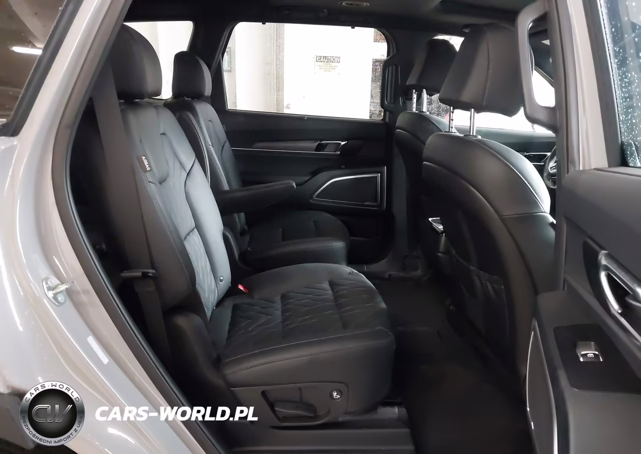2025 Kia Telluride Ex X-Line VIN:5XYP3DGCXSG599290 - 8