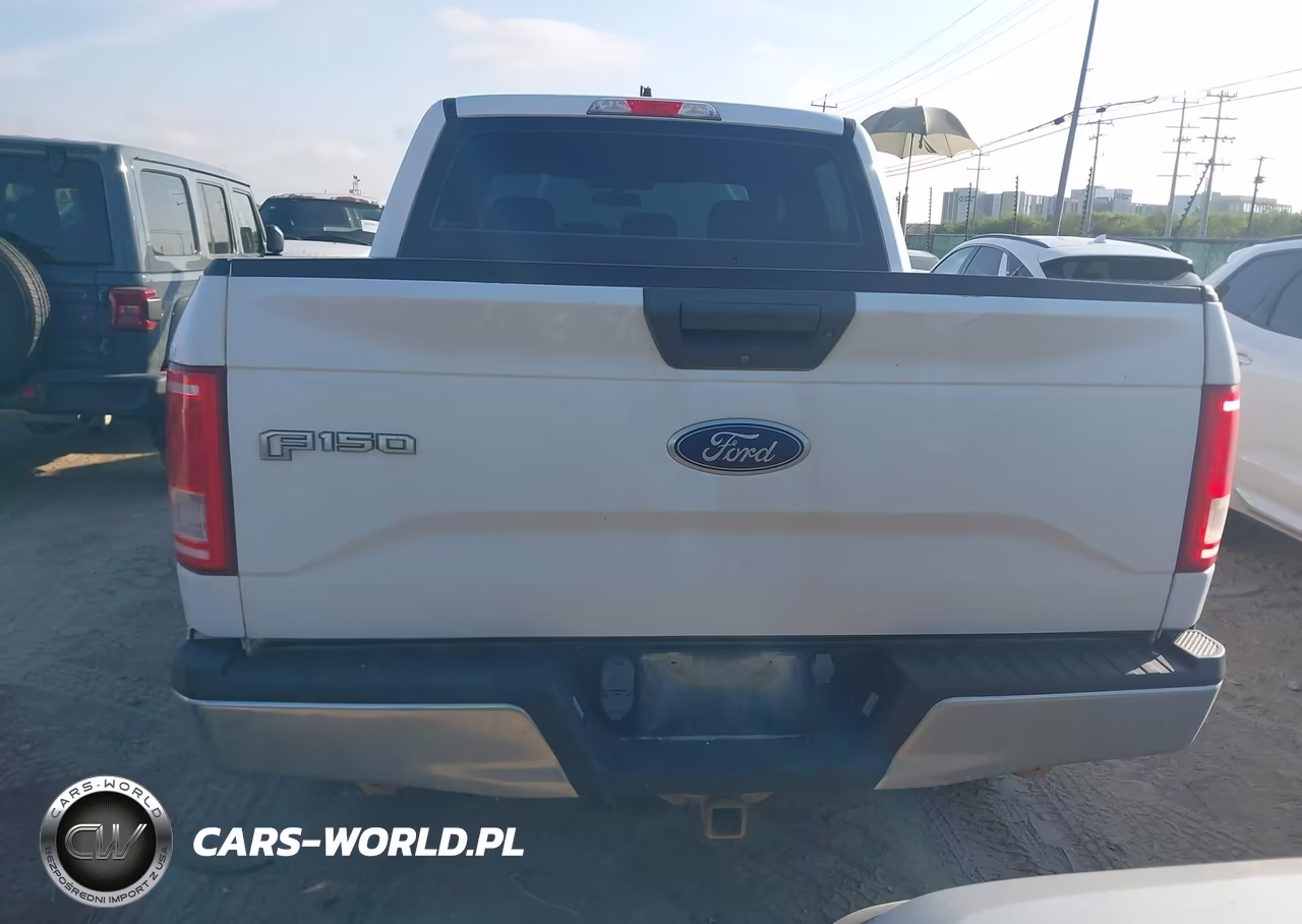 2017 Ford F-150 Xl VIN:1FTEW1EF0HKD76463 - 16