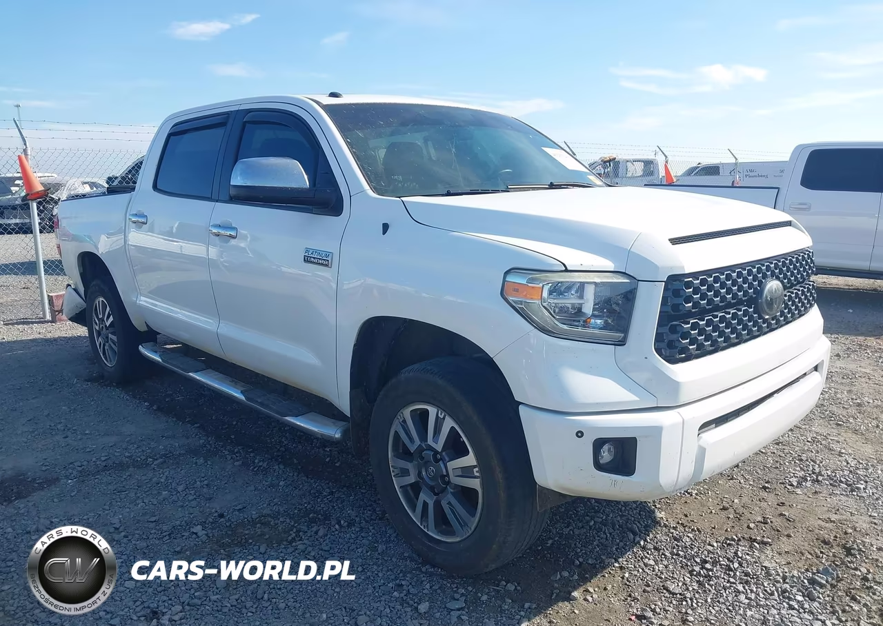 2019 Toyota Tundra Platinum 5.7L V8 VIN:5TFAY5F18KX778972 - 1