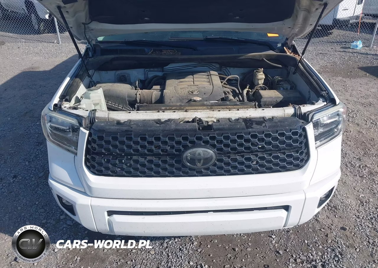 2019 Toyota Tundra Platinum 5.7L V8 VIN:5TFAY5F18KX778972 - 10