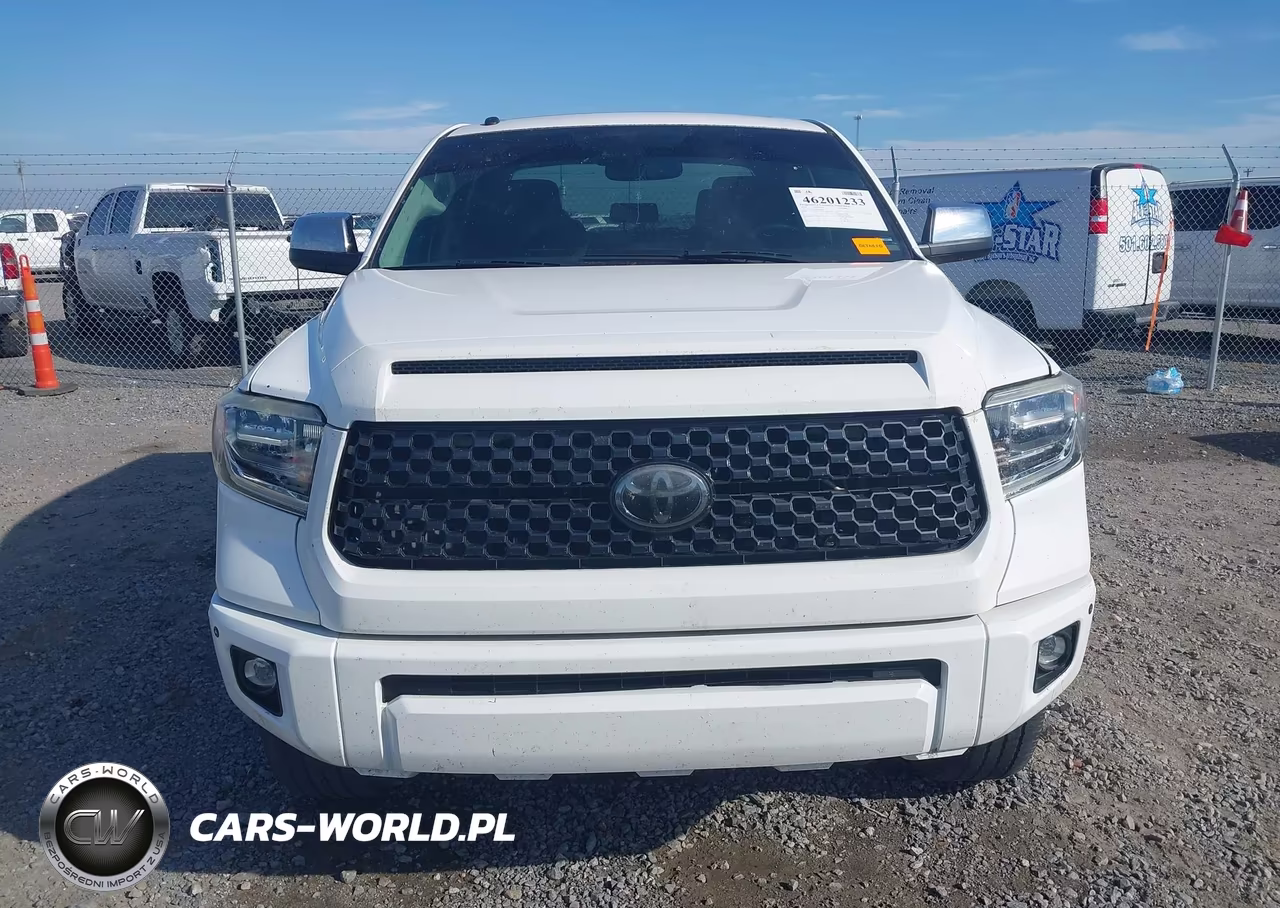 2019 Toyota Tundra Platinum 5.7L V8 VIN:5TFAY5F18KX778972 - 12