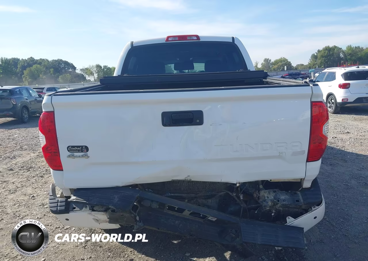 2019 Toyota Tundra Platinum 5.7L V8 VIN:5TFAY5F18KX778972 - 16