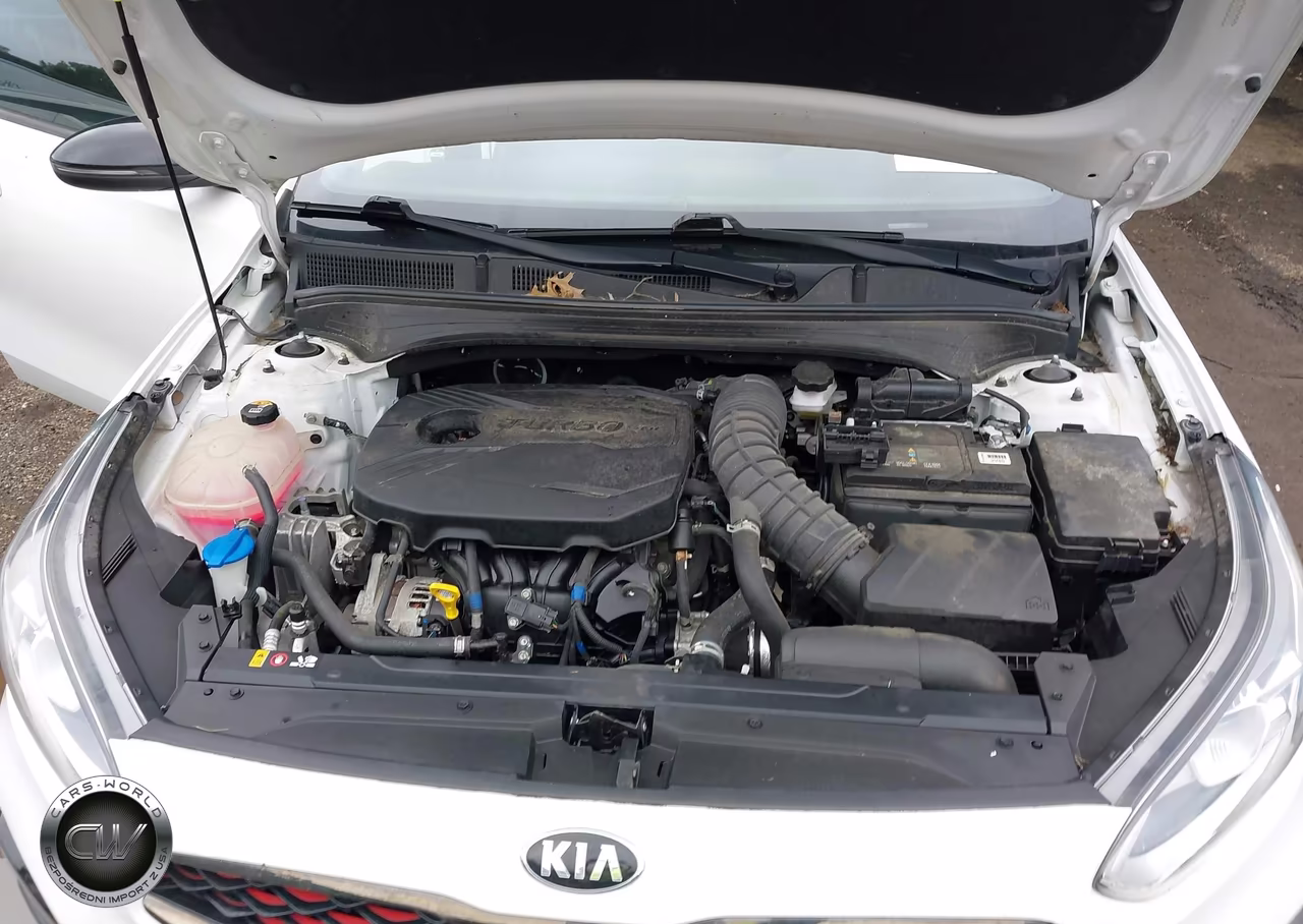 2021 Kia Forte Gt Manual VIN:3KPF44AC7ME409477 - 10