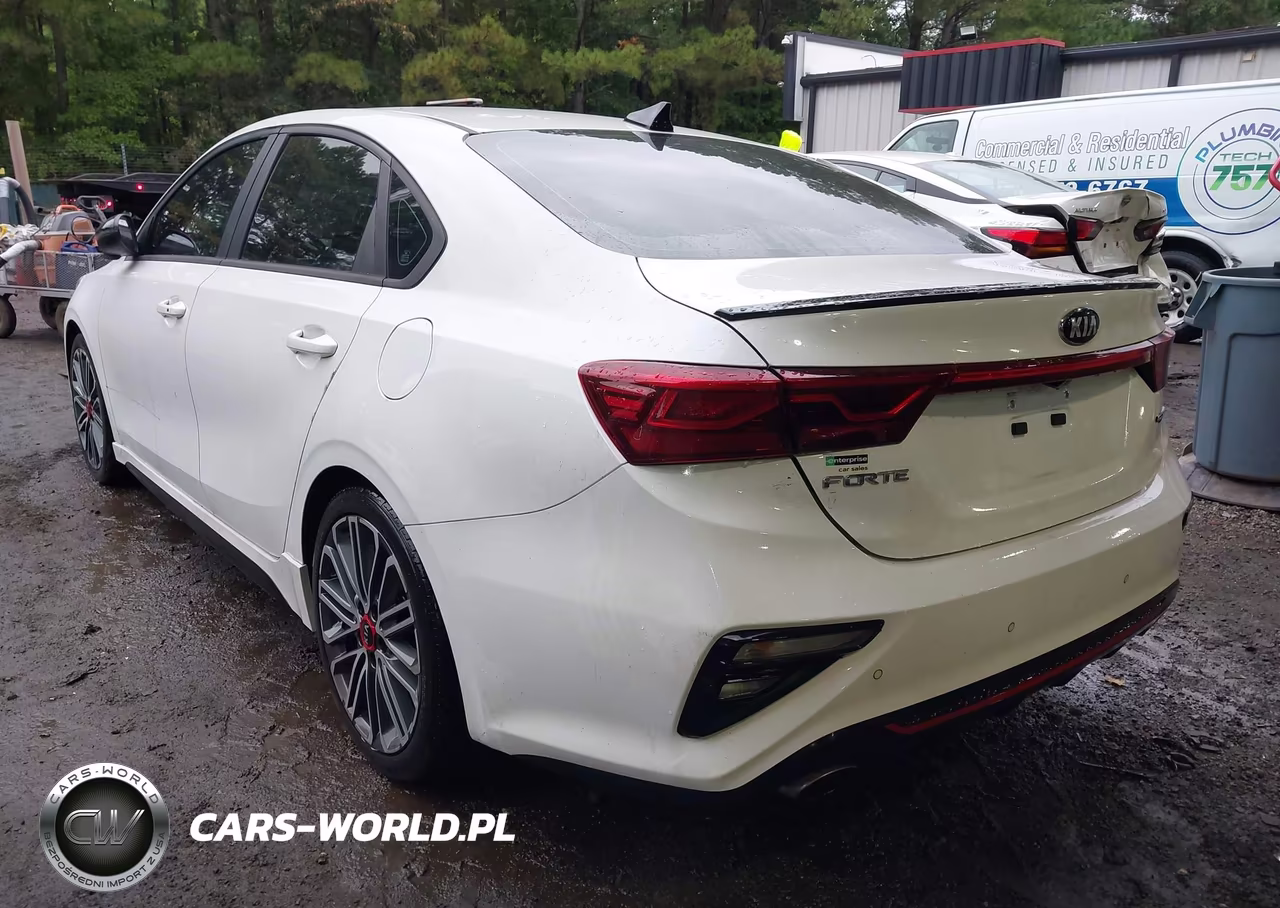 2021 Kia Forte Gt Manual VIN:3KPF44AC7ME409477 - 3
