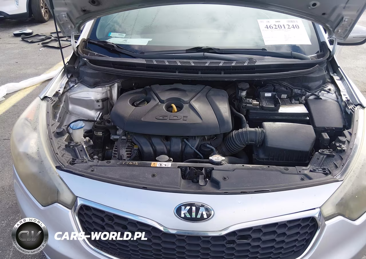 2015 Kia Forte Ex VIN:KNAFX4A82F5308362 - 10