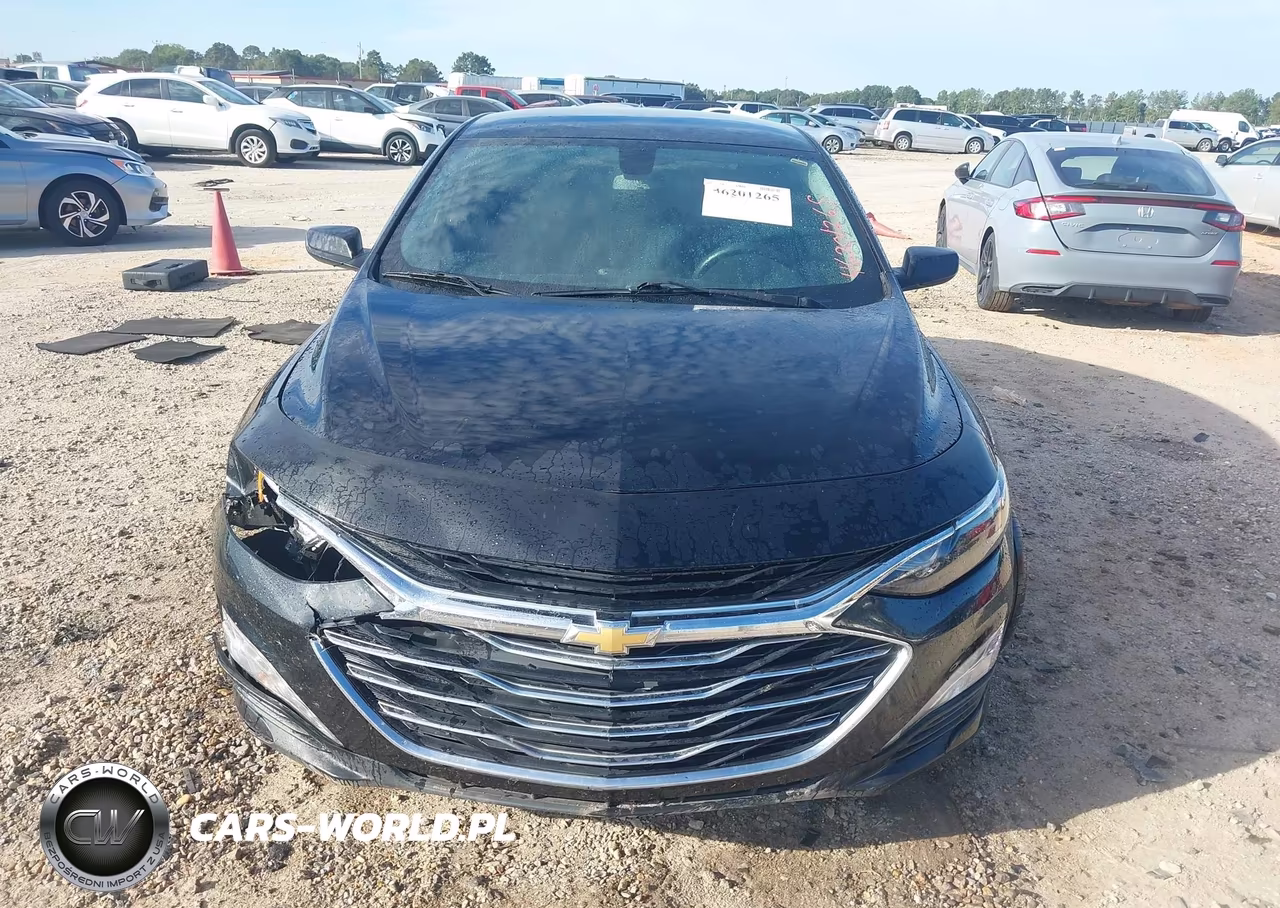 2019 Chevrolet Malibu Lt VIN:1G1ZD5STXKF141764 - 12