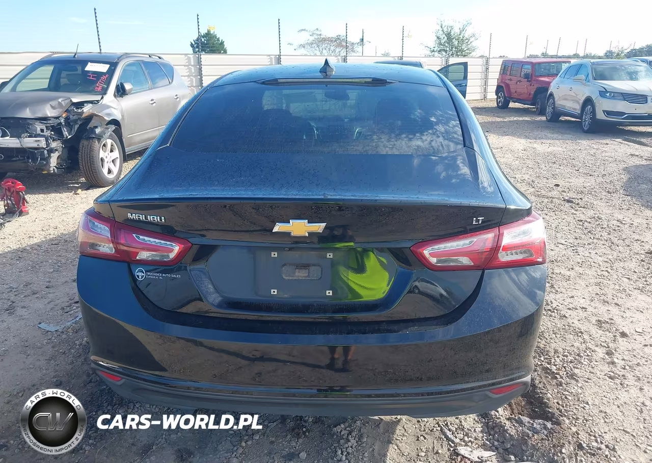 2019 Chevrolet Malibu Lt VIN:1G1ZD5STXKF141764 - 16