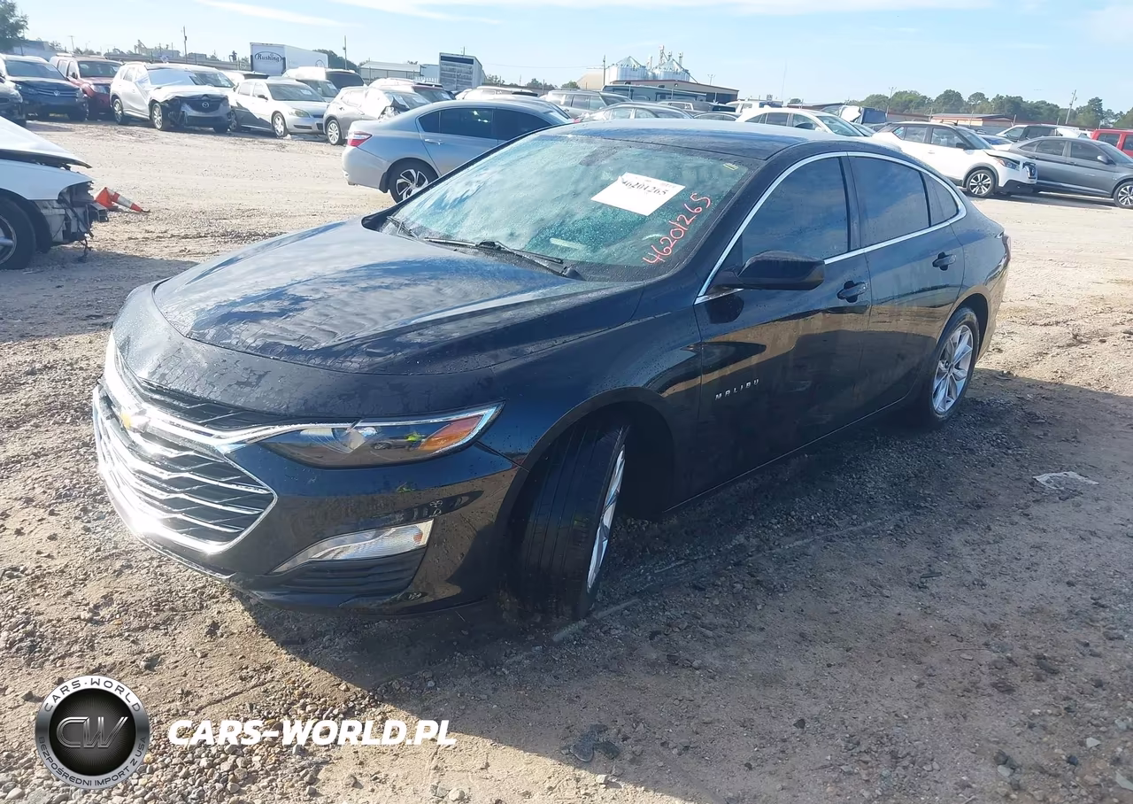 2019 Chevrolet Malibu Lt VIN:1G1ZD5STXKF141764 - 2