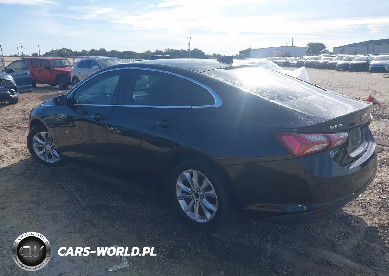 2019 Chevrolet Malibu Lt VIN:1G1ZD5STXKF141764 - 3
