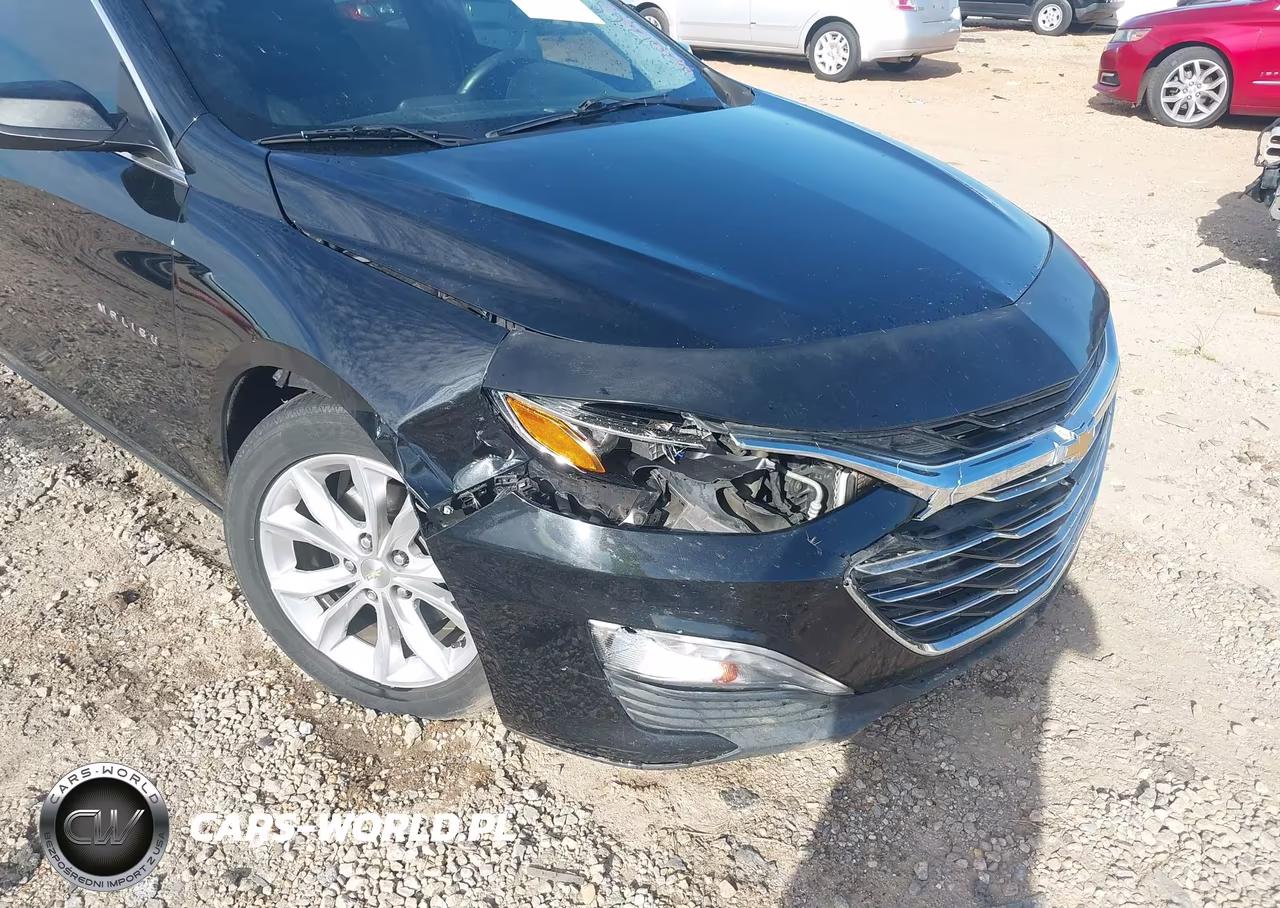 2019 Chevrolet Malibu Lt VIN:1G1ZD5STXKF141764 - 6