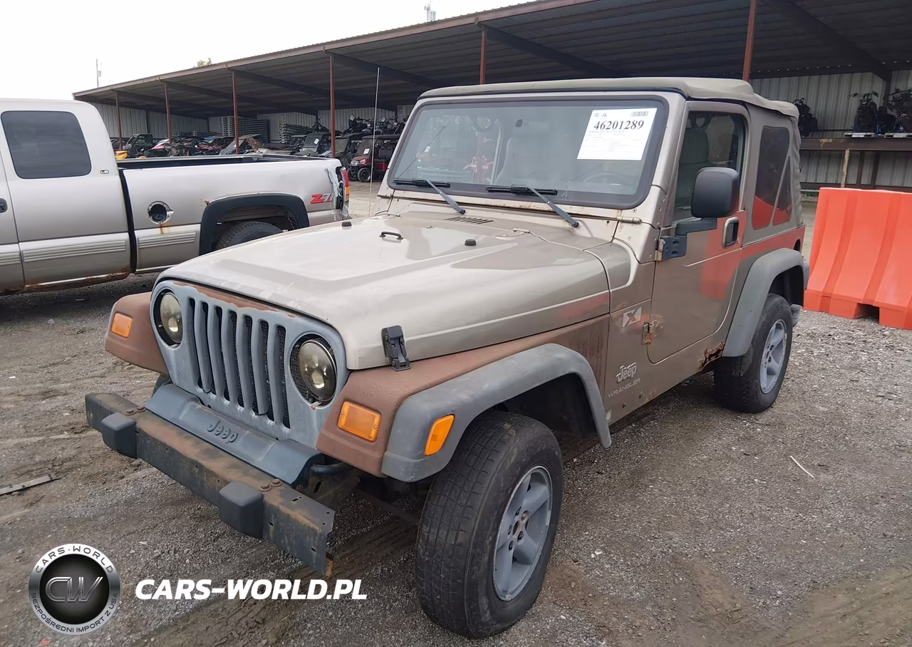2004 Jeep Wrangler X VIN:1J4FA39S34P700342 - 2