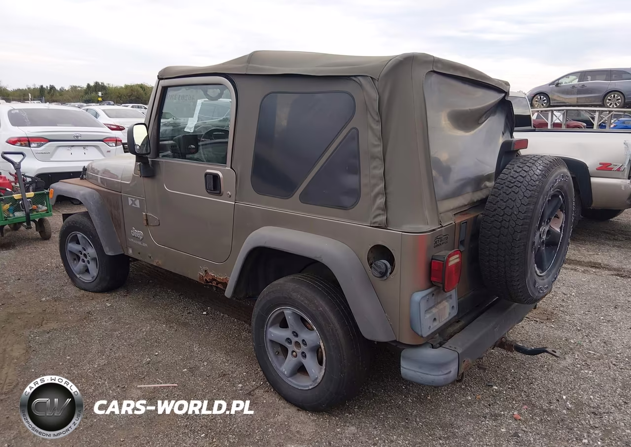 2004 Jeep Wrangler X VIN:1J4FA39S34P700342 - 3