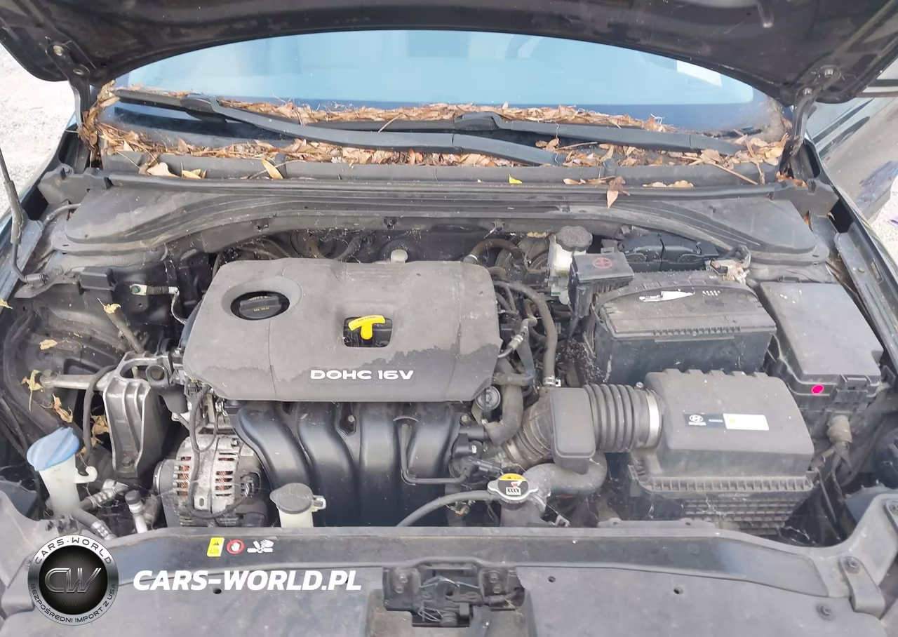 2017 Hyundai Elantra Se VIN:5NPD84LF6HH011567 - 10