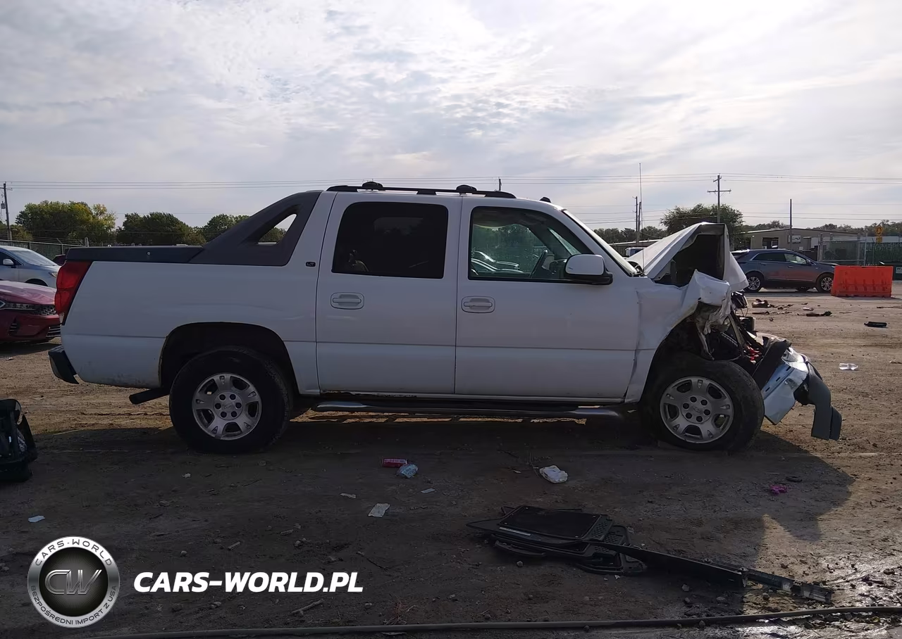 2005 Chevrolet Avalanche Z66 VIN:3GNEC12ZX5G230394 - 13