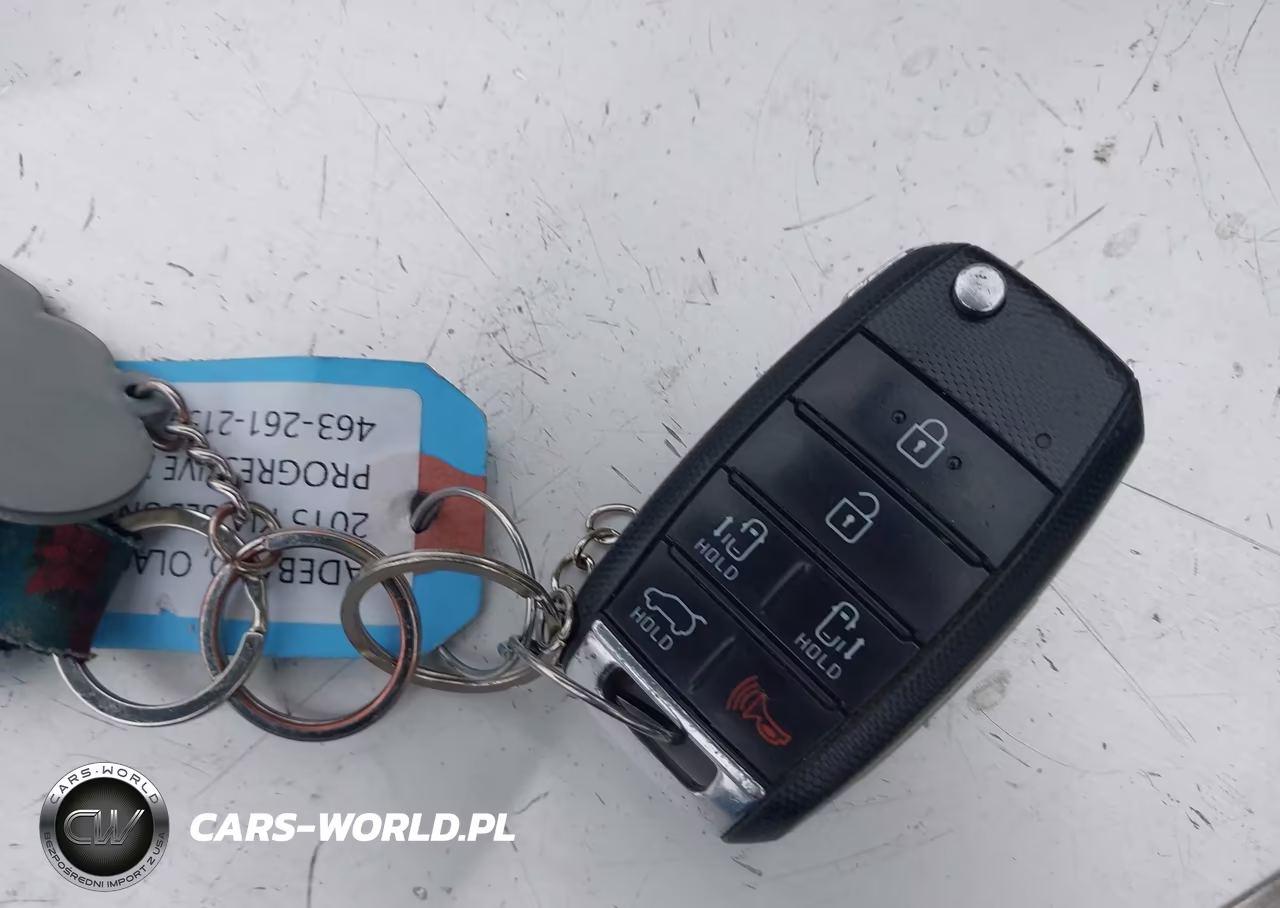 2015 Kia Sedona Lx VIN:KNDMB5C14F6053920 - 11