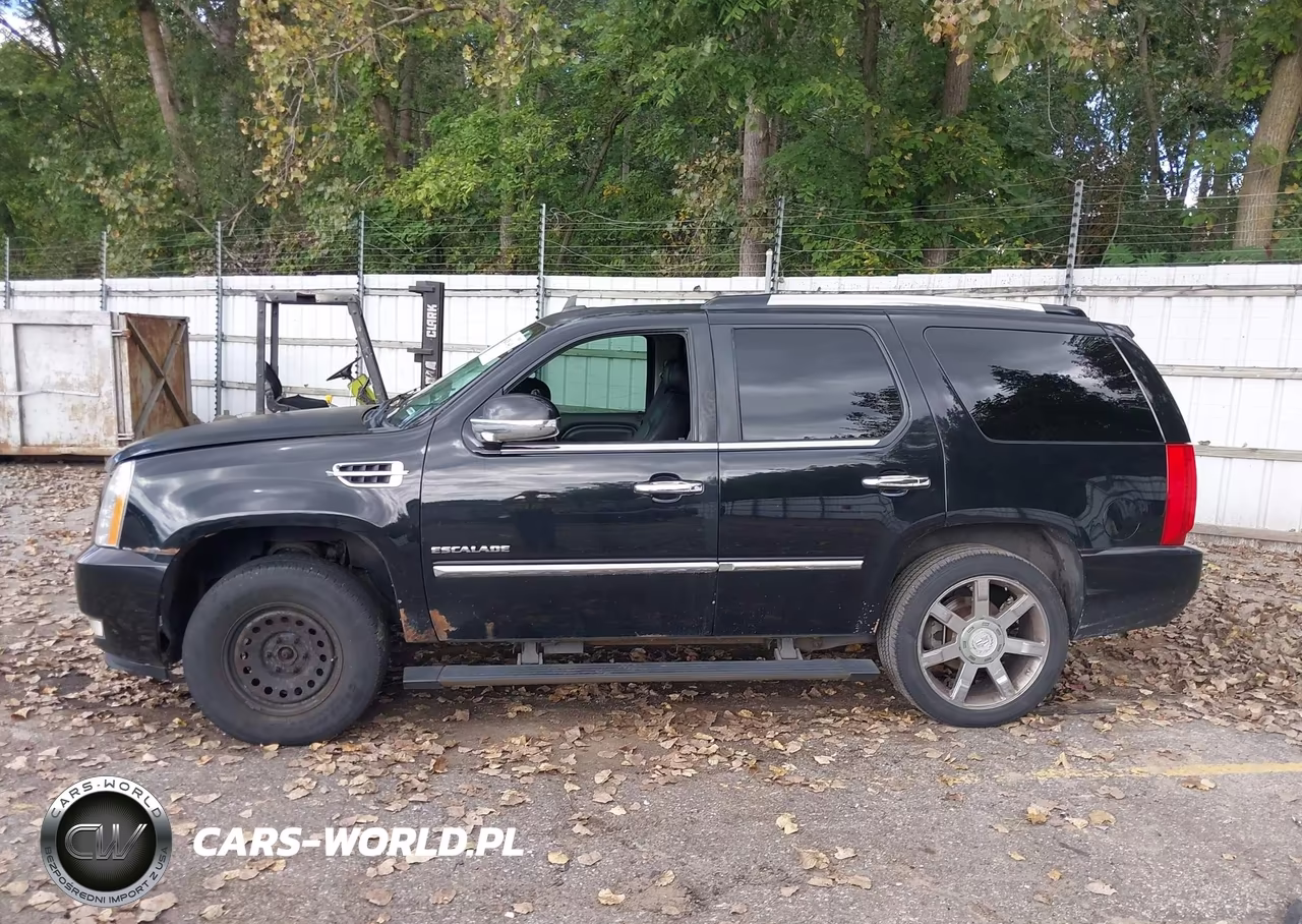 2014 Cadillac Escalade Luxury VIN:1GYS4BEFXER219356 - 14