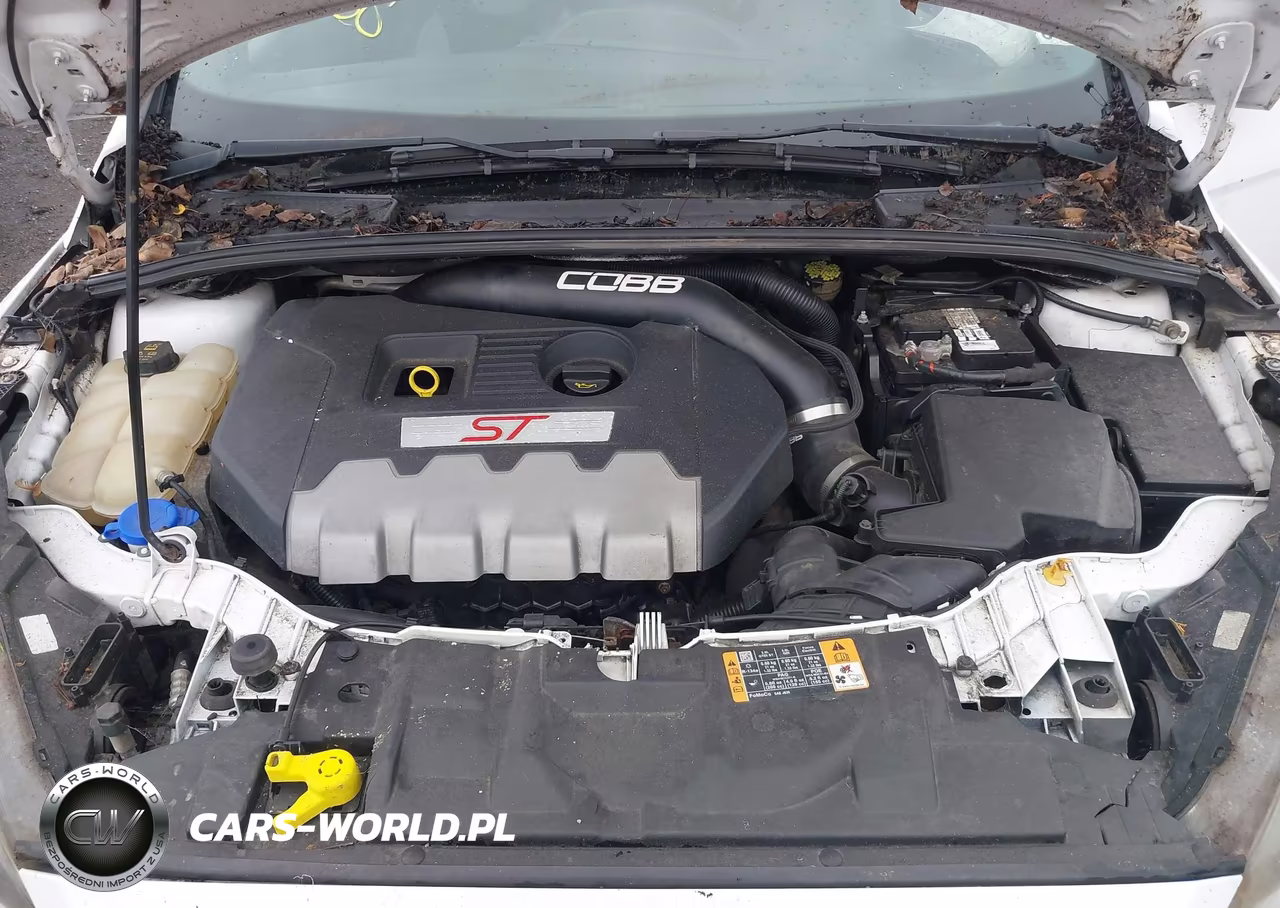 2016 Ford Focus St VIN:1FADP3L91GL250175 - 10