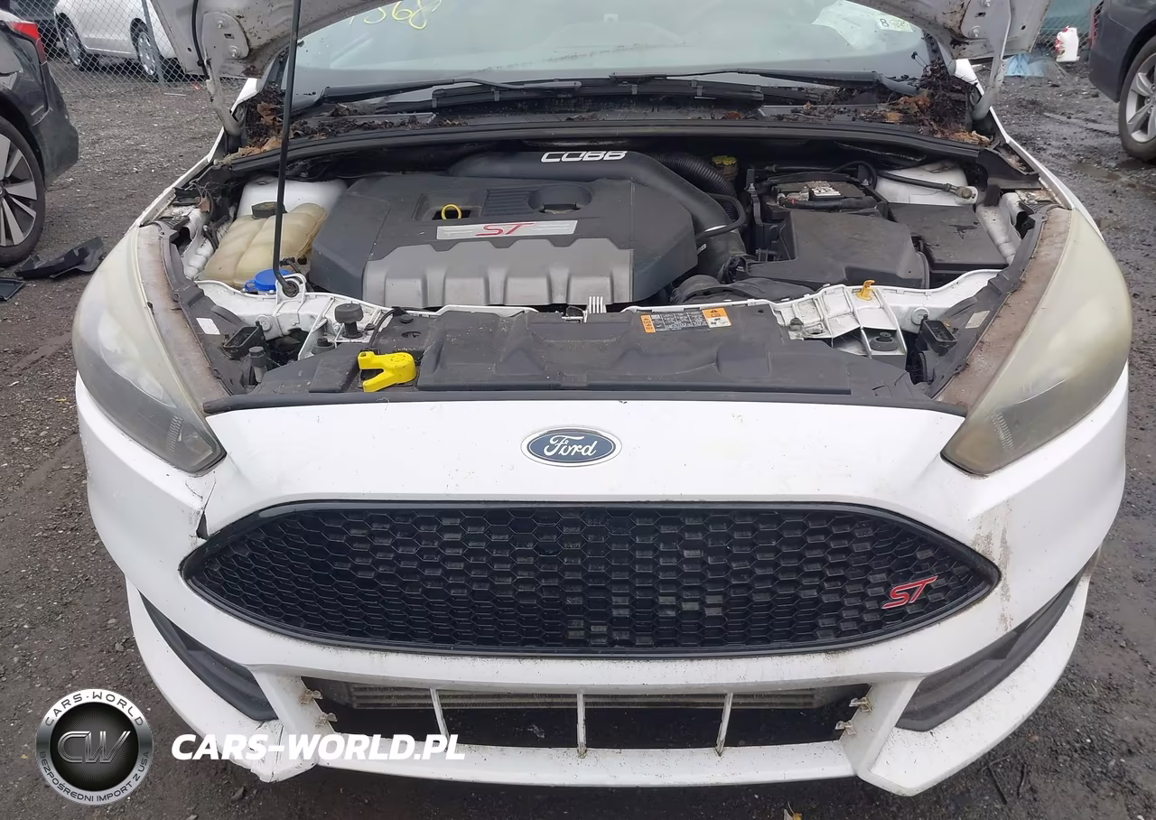 2016 Ford Focus St VIN:1FADP3L91GL250175 - 17
