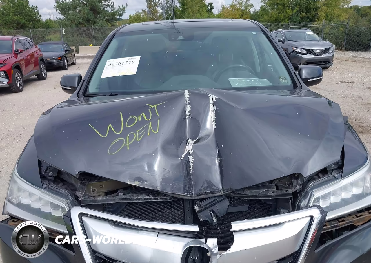 2016 Acura Mdx Technology Package-W-Tech-Acurawatch Plus VIN:5FRYD4H46GB059425 - 10