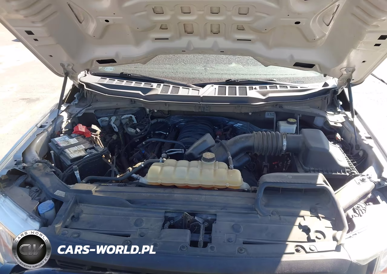 2021 Ford F-150 Xl VIN:1FTFW1E5XMKD26742 - 10
