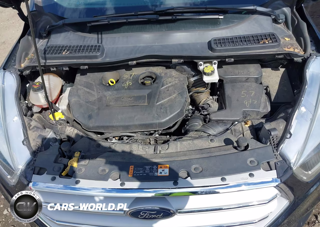 2019 Ford Escape Titanium VIN:1FMCU9J96KUB42007 - 10