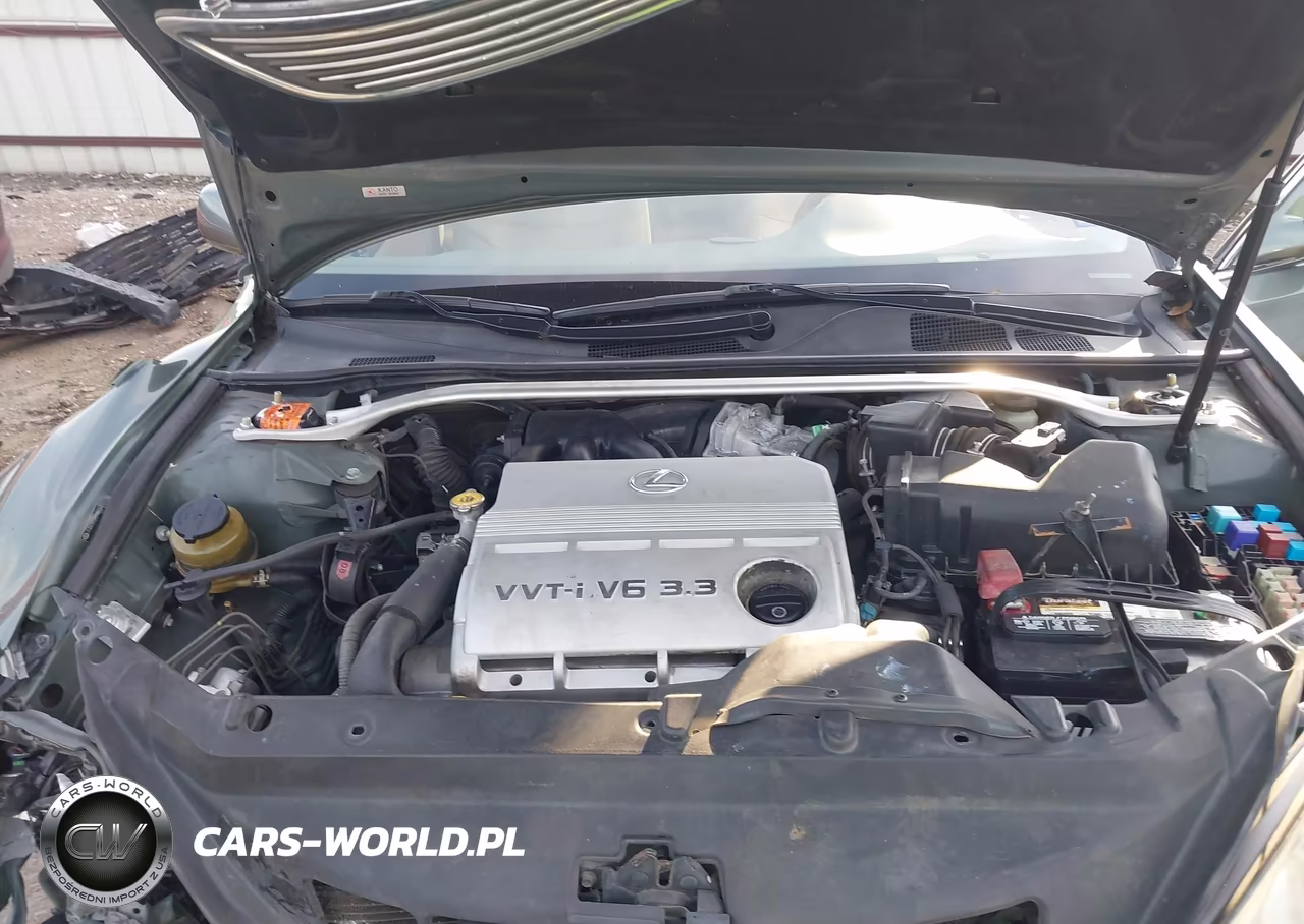 2006 Lexus Es 330 VIN:JTHBA30G265148102 - 10