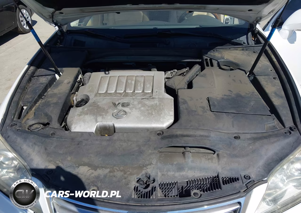 2010 Lexus Es 350 VIN:JTHBK1EG9A2389532 - 10