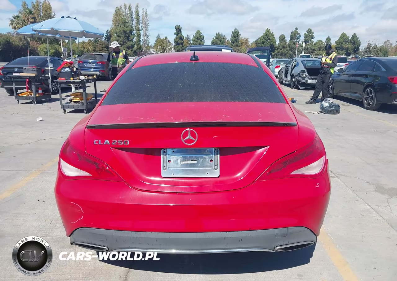 2019 Mercedes-Benz Cla 250 VIN:WDDSJ4EB4KN742419 - 16