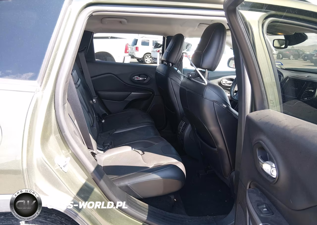 2019 Jeep Cherokee Limited 4X4 VIN:1C4PJMDN6KD179276 - 8