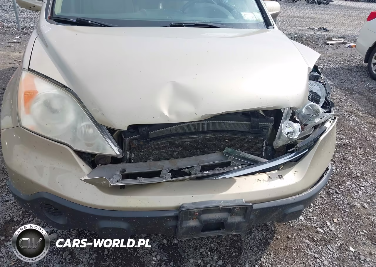2007 Honda Cr-V Ex-L VIN:JHLRE48797C025962 - 6